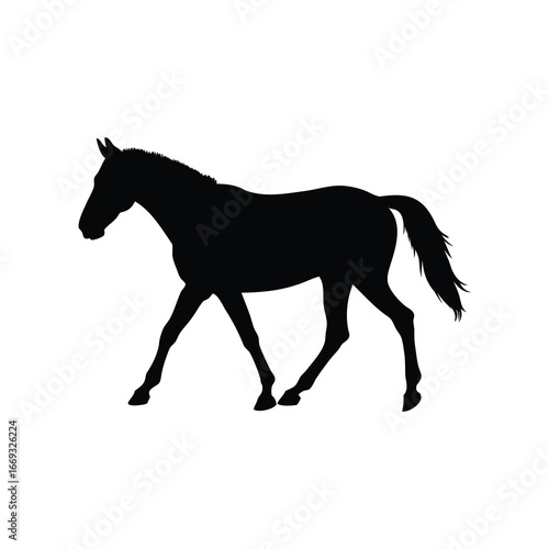 Elegant black horse silhouette walking gracefully on a white plain background, horse walking in pasture black silhouette vector illustration