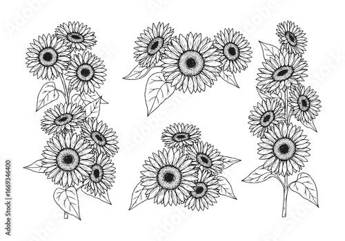 Stunning sunflower bouquet silhouette for elegant floral designs and nature-inspired creative projects