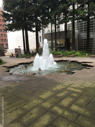 Urban Fountain in a Park: A tranquil image of a classical water fountain in a public park, surrounded by trees and urban buildings in the background.