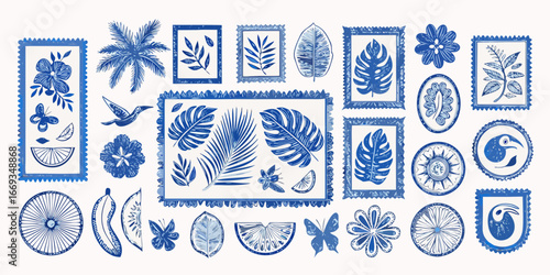 Blue Botanical Elements and Frames Hand Drawn Illustration Collection floral