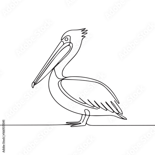 Continuous line of a Pelican bird .Single one line art of wild Pelican bird , One continuous line illustration of an Pelican bird isolated on white background.