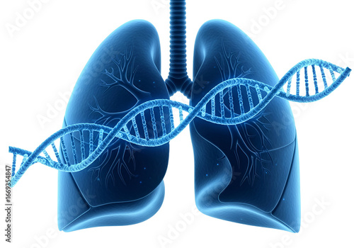 3D illustration of a human lung with overlayed DNA structure.