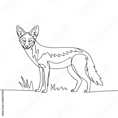 Continuous line of walking standing Black-backed jackal .Single one line art of wild Black-backed jackal , One continuous line illustration of an Black-backed jackal isolated on white background.