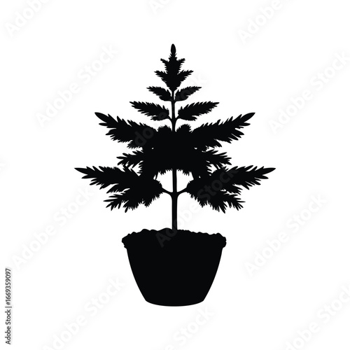 Silhouette of a potted evergreen sapling adds a touch of nature to any space, tree plant on a tob silhouette vector illustration