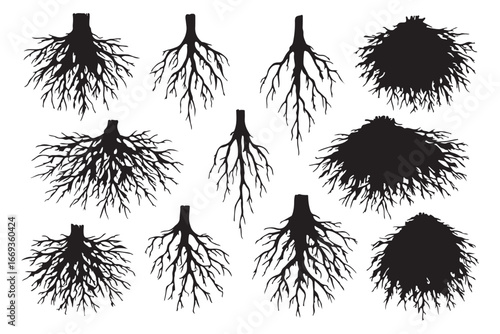 Various tree root systems isolated on white background