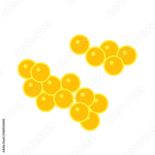 staphylococcus aureus bacteria