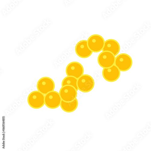 staphylococcus aureus bacteria