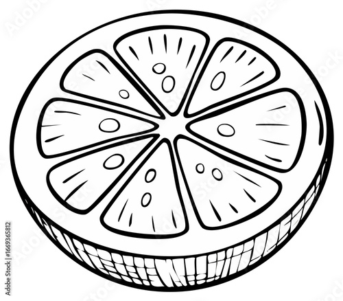 Line art drawing of sliced citrus fruit. Outline illustration of fresh lemon for coloring page or art projects