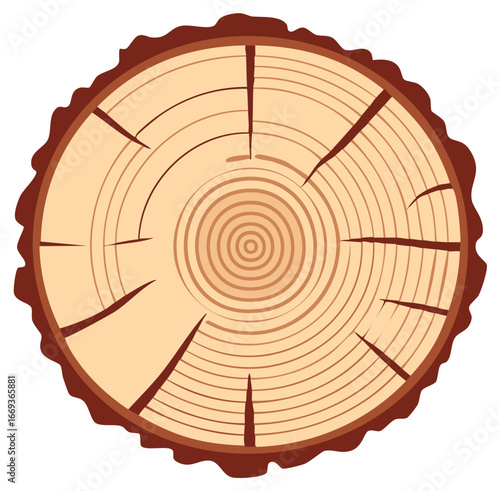 Natural wood log cross section showing growth rings and bark texture