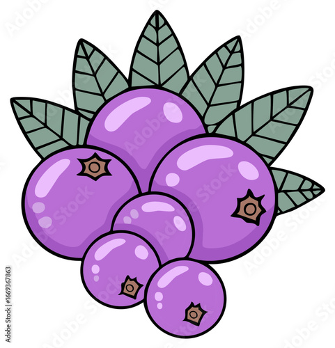 Illustration of ripe blueberries with leaves, vector illustration