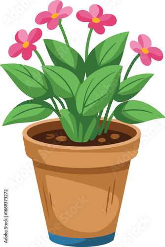flower in a pot