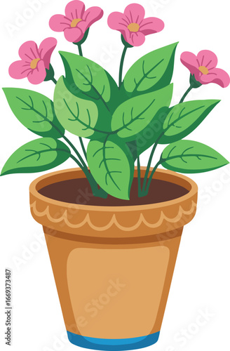 flower in pot