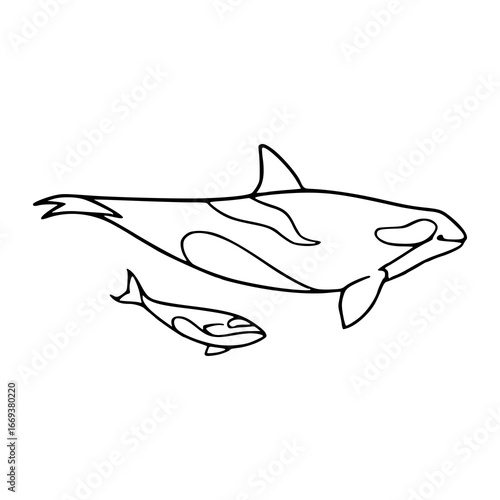 whale drawing with baby in simple line art