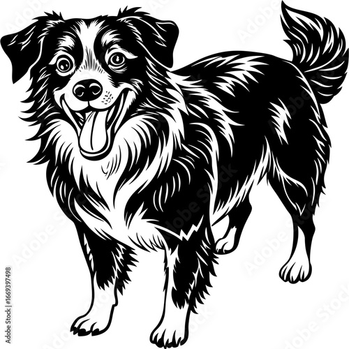 Joyful Border Collie dog with wagging tail and panting mouth, ready for adventure and play