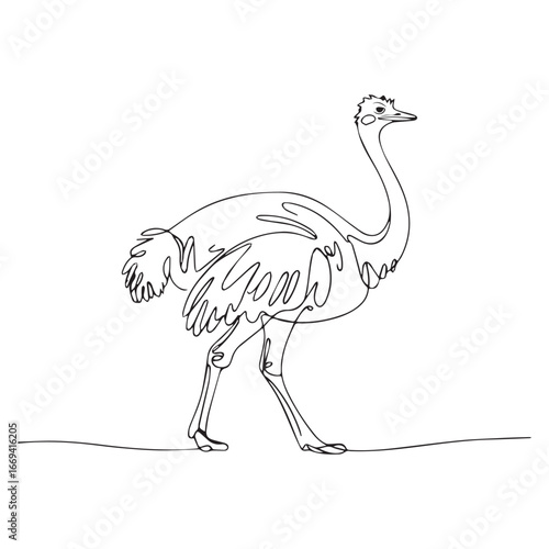 Continuous line of walking standing ostrich .Single one line art of wild ostrich , One continuous line illustration of an ostrich isolated on white background.