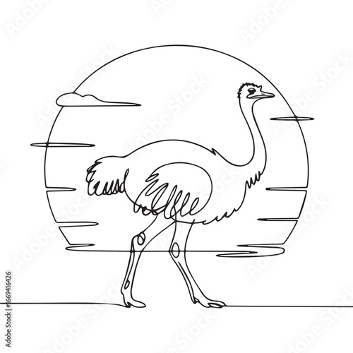 Continuous line of walking standing ostrich .Single one line art of wild ostrich , One continuous line illustration of an ostrich isolated on white background.