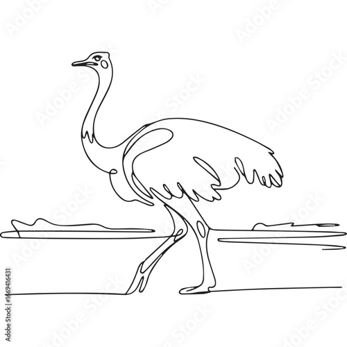 Continuous line of walking standing ostrich .Single one line art of wild ostrich , One continuous line illustration of an ostrich isolated on white background.