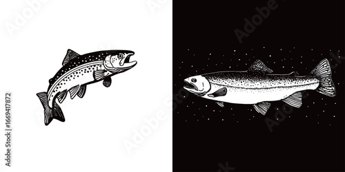 Two fish are illustrated with distinct artistic styles, one on a white background and the other on black, highlighting their unique features. Both fish have intricate details and vibrant designs.