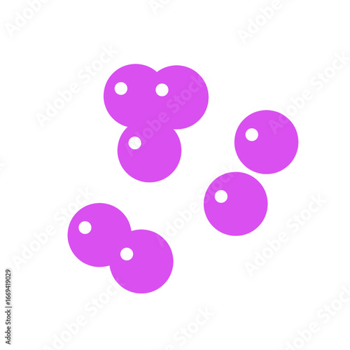 staphylococcus bacteria