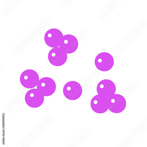 staphylococcus bacteria