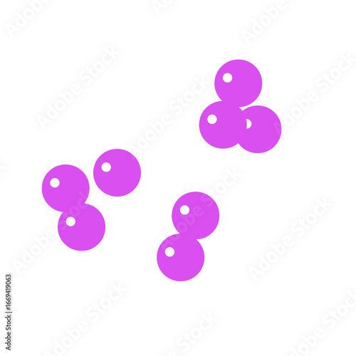 staphylococcus bacteria