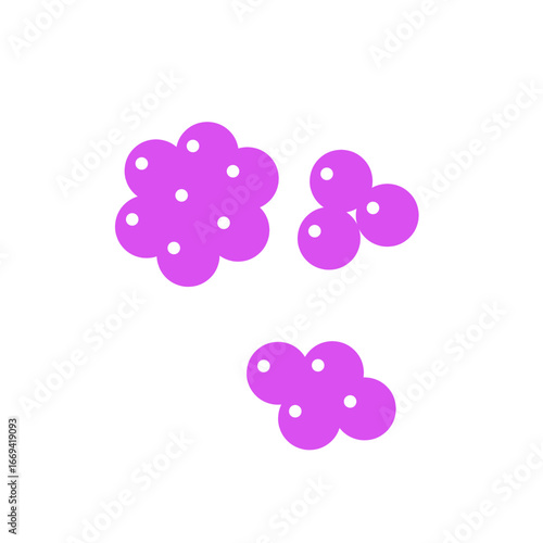 staphylococcus bacteria