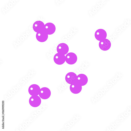 staphylococcus bacteria