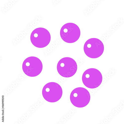 staphylococcus bacteria