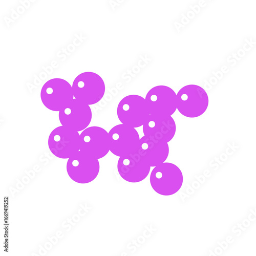 staphylococcus bacteria