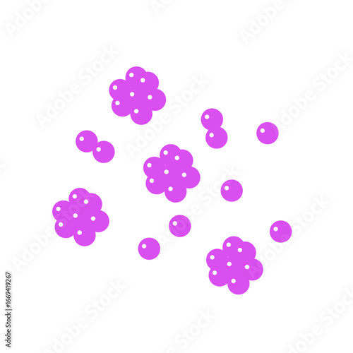 staphylococcus bacteria