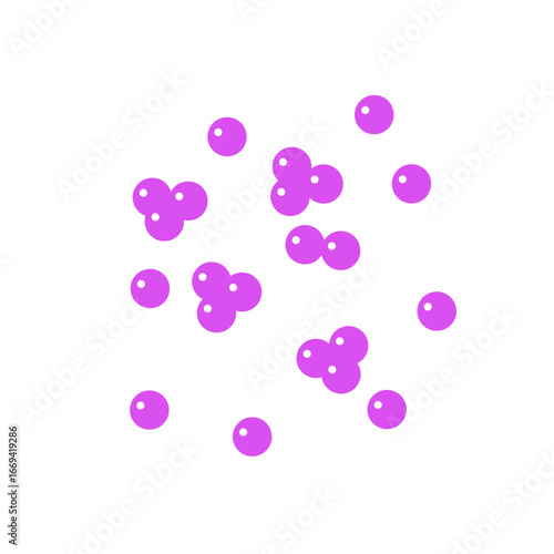 staphylococcus bacteria