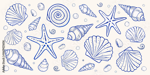 Blue Ink Sketch of Seashells Starfish and Bubbles marine life ocean