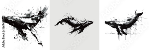 Three stunning whale illustrations showcase graceful movements in black and white. Each piece features dynamic splashes, capturing the majestic essence of these marine creatures.
