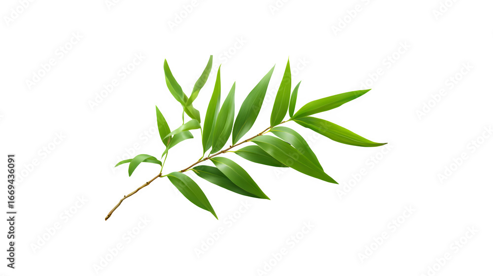 Naklejka premium Lush green bamboo leaf branch showcasing nature's beauty and tranquility