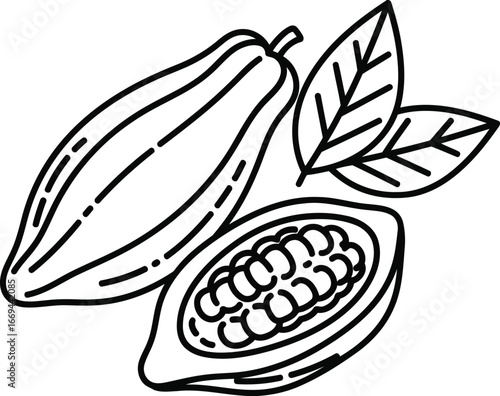 Illustration of cacao beans and leaves on a