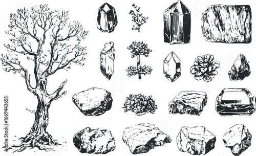 Collection of nature elements including a bare tree and various crystals and rocks