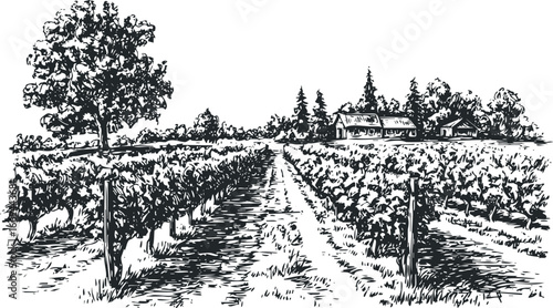 Vineyard landscape with rustic farmhouses and trees