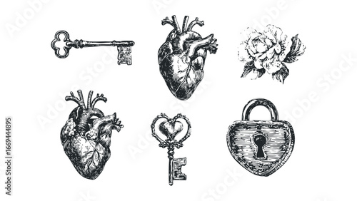 Anatomical heart, ornate key, and lock with rose sketch. Vector hand drawn illustration