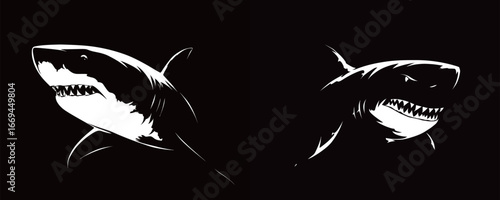 Dynamic illustration of a shark highlighting its sharp teeth and streamlined body, set against dark backgrounds. The artwork emphasizes the power and elegance of this ocean predator.