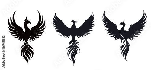 Three unique black phoenix designs are displayed, each exhibiting distinct wing shapes and flowing tails. The artistry emphasizes dynamic movement and mythical symbolism of rebirth and strength.