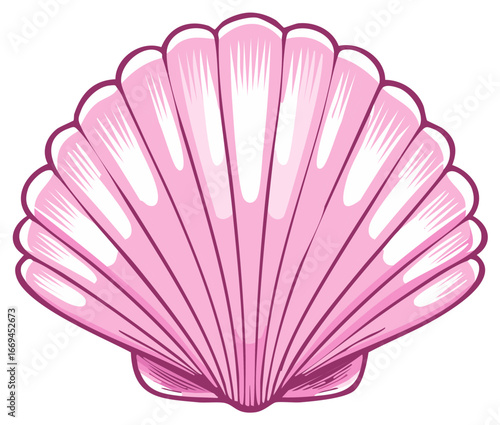 Elegant Pink Seashell Illustration, Marine Decoration, Coastal Design Element