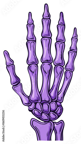 Purple Skeleton Hand Illustration with Detailed Bones and Joints