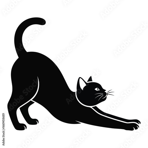 Black cat stretching on white background silhouette animal