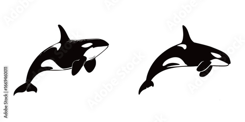 Two orcas are depicted swimming through the ocean waters. Their sleek bodies and distinctive coloring shine under the sun, showcasing their majestic presence in the marine ecosystem.