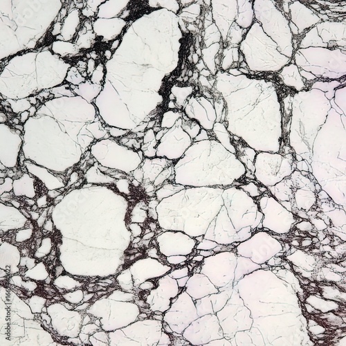 Calacatta Viola texture, white and black