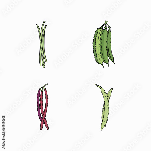Long Beans Vegetable Harvest