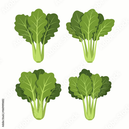Fresh Mustard Greens, Leafy Vegetable