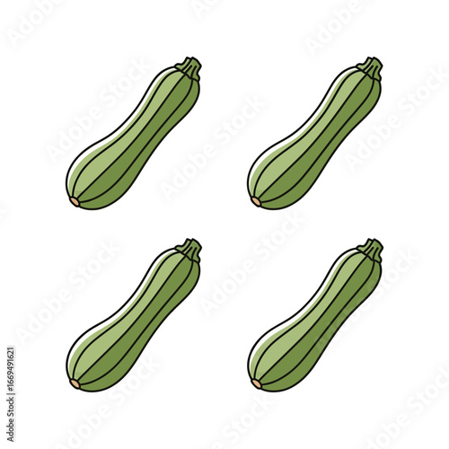 Fresh Green Zucchini Harvest