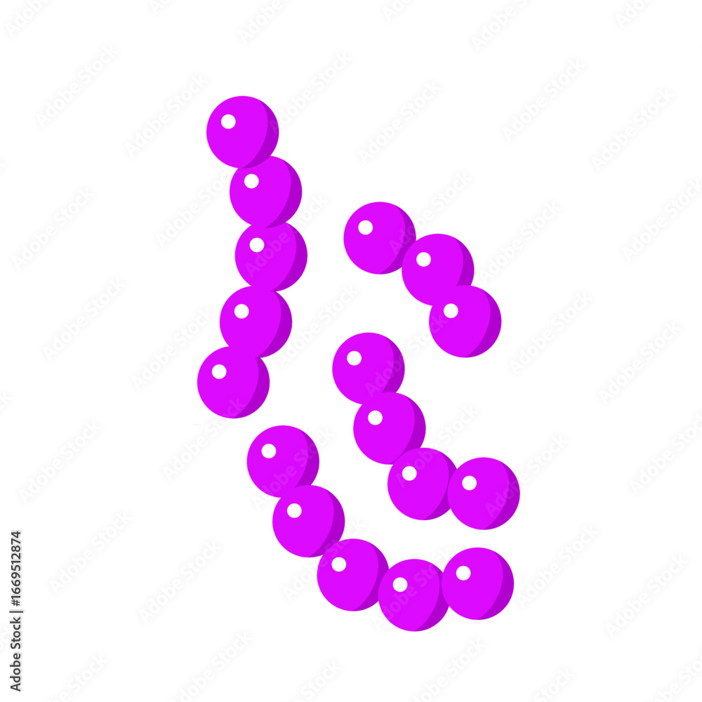 Fototapeta premium Streptococcus pneumoniae bacterial vector