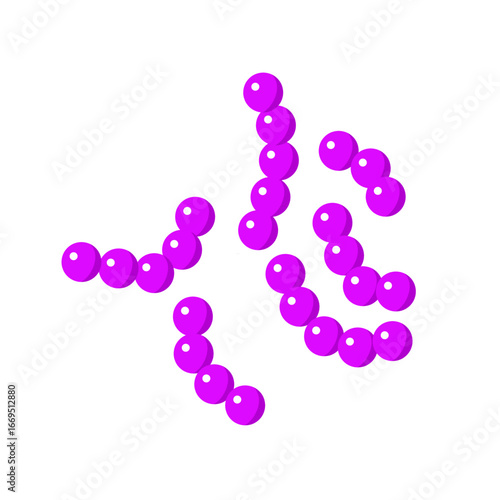 Streptococcus pneumoniae bacterial vector